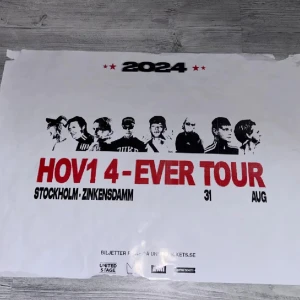 hov1 affisch  - hov1 affisch ifrån 2024, den har inga effekter eller trasig på några vis, skriv för flera bilder eftersom att det inte är min bild!!💕