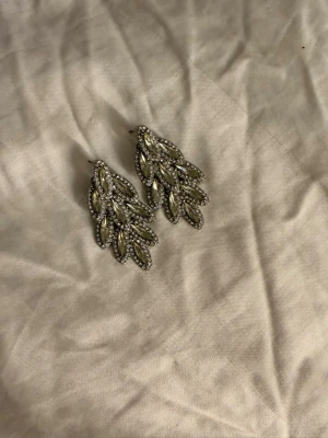 Örhängen silver - Jätte fina silver örhängen passar perfekt när man vill klä upp sig lite extra