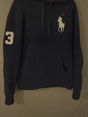 Ralph Lauren hoodie  - Ralph lauren hoodie i modellen ”big pony” nyskick givetvis äkta!