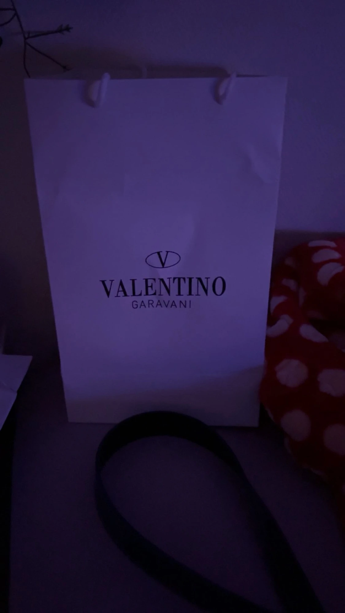 Valentino opens - 5