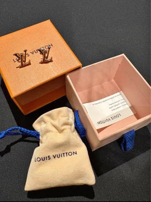 Louis Vuitton örhängen  - Säljer ett par ikoniska Louis Vuitton örhängen i guldfärgad metall med LV-loggan.  Säljer de eftersom min tjej har använt de en gång!