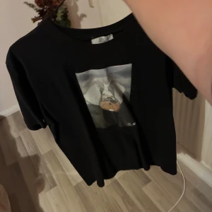 Svart t-shirt med tryck - Svart t-shirt med coolt tryck framtill som föreställer ett tåg i fart genom ett landskap. Klassisk passform med rund hals och korta ärmar. Perfekt för dig som gillar streetstyle och grafiska motiv.