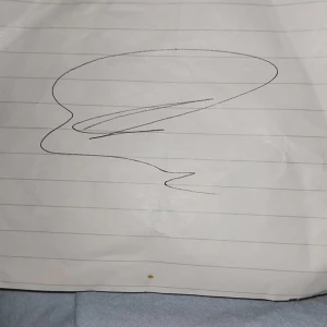 Zlatan Ibrahimovic autograf på papper - Unik autograf av Zlatan Ibrahimovic på ett vitt, linjerat papper. Namnet 'zlatan' är skrivet i blått längst ner. Perfekt för dig som älskar fotboll och vill ha något riktigt speciellt att visa upp.