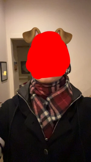 Röd Burberry halsduk - Hej, säljer en vinröd burberry halsduk till dunderpris‼️‼️💯skick 9/10✅✅ skickas nopprad också såklart🧼 DMa📩 vid minsta fundering eller prisförslag🤗🤗