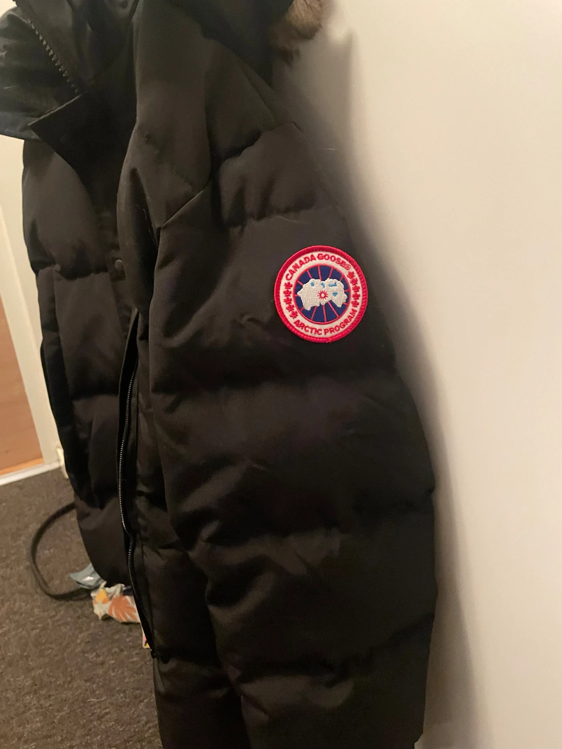 Canada Goose - 1