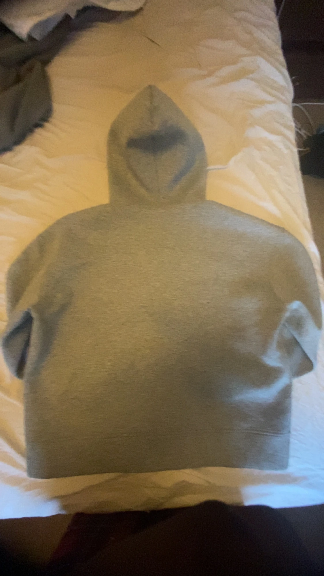 Grå hoodie med dragkedja och huva - 1