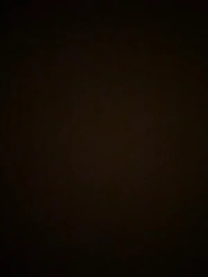 TEST - Test Zara Larsson 