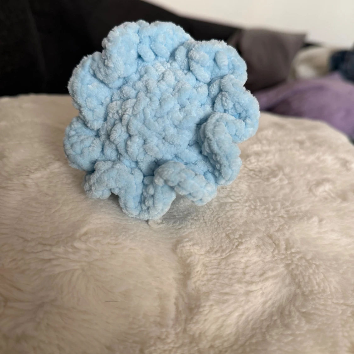 Liten blå bläckfisk  - 1