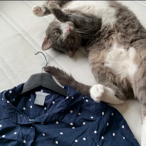 Prickig skjorta Lindex - Använd ca 1 gång, fin prickig skjorta i XS från Lindex. Köparen står för frakt annars möts upp i Lund