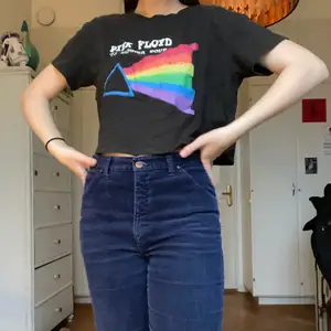 En snygg Pink Floyd t-shirt! Den brukade vara en av mina favoriter men har inte använt den på ett tag och säljer den därför. Den är croppad men inte för kort. Den kommer ifrån HM💕😊 pris 70kr plus frakt 