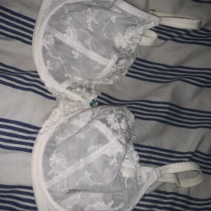 Spets Bh - En superfin spets Bh i storlek 85C, den är jättesnygg att ha som en vågad topp eller som vanlig bh.