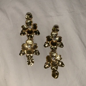 örhängen - ganska tunga. Frakten ligger på 25kr