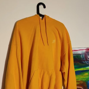 Unik streetwear hoodie - En unik hoodie av ett föredetta klädmärke som hette Reviboyz, som riktade in sig på skid-och snowboard stil.