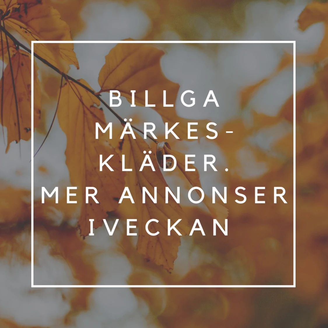 ALLT I OBRUTEN FÖRPACKNING. VI BJUDER PÅ FRAKT