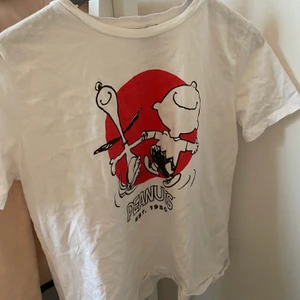 T-Shirt  - T-Shirt från Zaras Peanuts kollektion. Använd 2 ggr