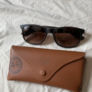 Rayban Andy  - Nypris 1600, använder inte därav säljs dem!