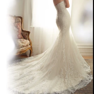  -  Brudklänning +slöja