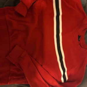  - ”tjocktröja” använd 1 gång 🐶