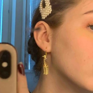  - Handgjorda djur-örhängen!