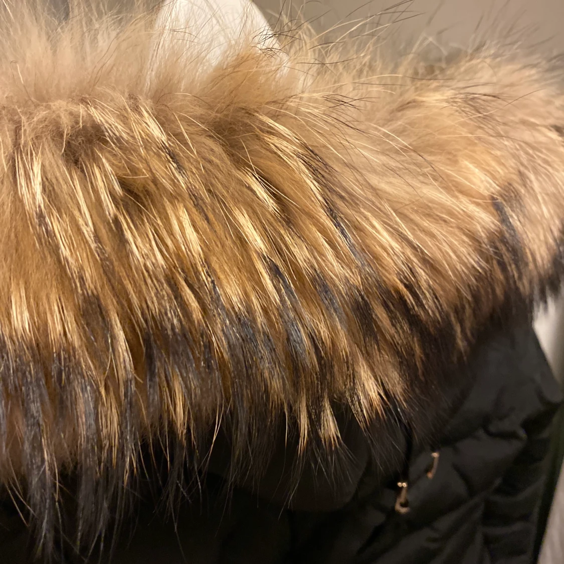 Hollies chantel jacka - 91