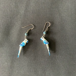 Örhänge - Supertuffa örhängen med papegojor 🦜 40kr inkl frakt 🌚🌚🪐