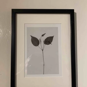  - Svart tavelram med bild från Desenio Hämtas i Sala Backe, Uppsala 