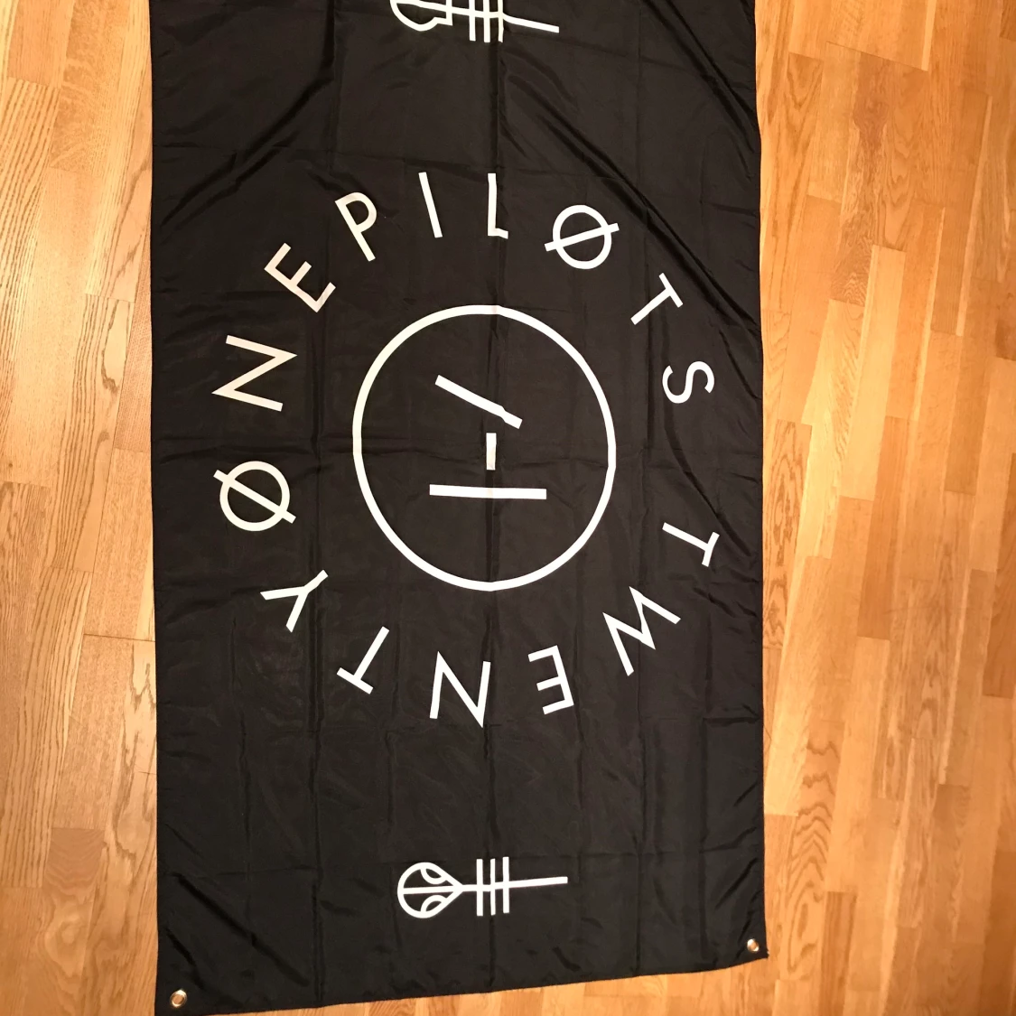 Twenty one pilots skynke