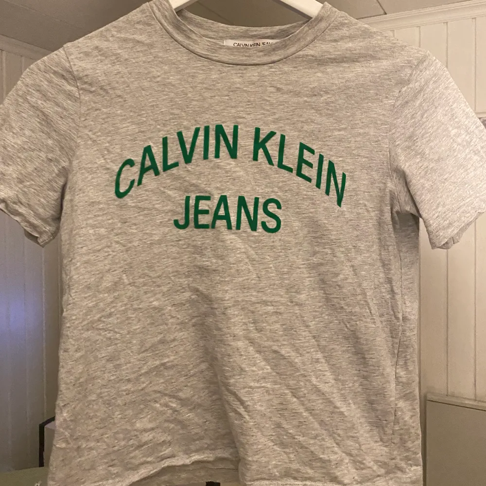 En kortare Calvin Klein t-shirt med grön text i sammet🥰🥰  jättecool men har inte kommit till användning alls:( den är typ lite vintage✨✨🦎. T-shirts.
