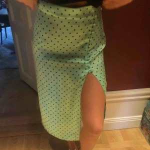  - En kjol ifrån zara i nyskick 🧃