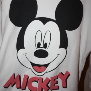  - Musse Pigg Disney tröja från BikBok.
Storlek small. Frakt kostar 50kr

Kan mötas i Vallentuna, Täby C eller Vällingby C :)