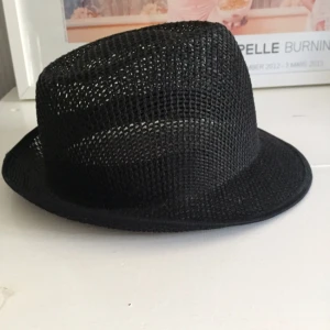  - Hatt köpt utomlands i fint skick. 