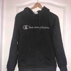  - Champion tröja grå fint skick kan fraktas