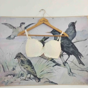  - Oanvänd vit bh från Change lingerine. Kan skicka fler bilder vid förfrågan 🦢🦢 kan skicka mot frakt på 40kr.