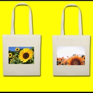  - Jag säljer miljövänliga tygpåsar med tryck och en ficka för att kunna hänga upp nycklarna. Vi har just nu 2 olika tryck ni kan välja mellan, men ni kan skicka in valfri bild som kan tryckas.