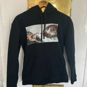 The cool elephant reach out hoodie  - Använd Max 3 gånger och är i jätte fint skick, kostar 599kr ny. Kan mötas i närheten av Södermalm eller fraktas för 66kr. 