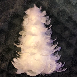 Fjädergran dekoration  - Vit fjädergran som är ca 25 cm.  Köpt på dimoda men det var något år sedan så de säljs inte längre.  Väldigt fin, passar bara inte in i mitt rum längre.  Ny pris: 79kr Säljer för 40kr  Kan mötas upp i Falkenberg, annars står köparen för frakten.