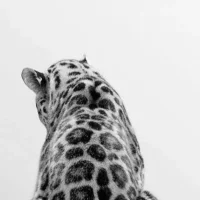 🌺👸🏼Olivia👸🏼🌺