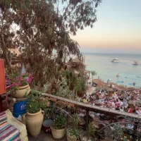 Diana Elsherif