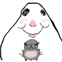 Embla