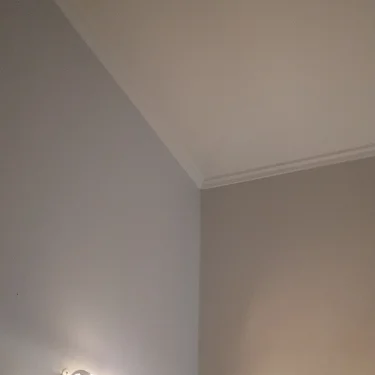 Arthur Haller Acevedo