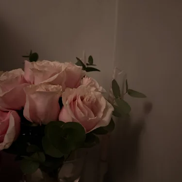 Electra Öhrbom johansson