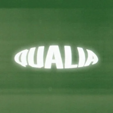 QUALIA