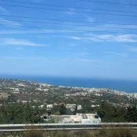 Millie Nisbet😽🌸🌴🩷