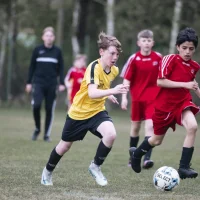 Leo Egenvall Schirmacher