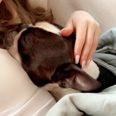 ꨄℰ𝓈𝓉ℯ𝓁𝓁ℯꨄ