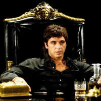 Alpacino Fashion
