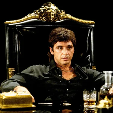 Alpacino Fashion