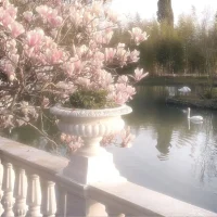 Marlene Lion ༶•┈┈୨♡୧┈┈•༶