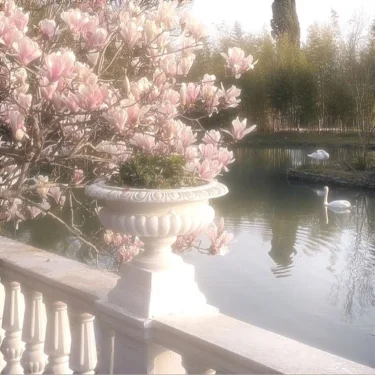 Marlene Lion ༶•┈┈୨♡୧┈┈•༶