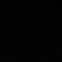 isabellemortensen